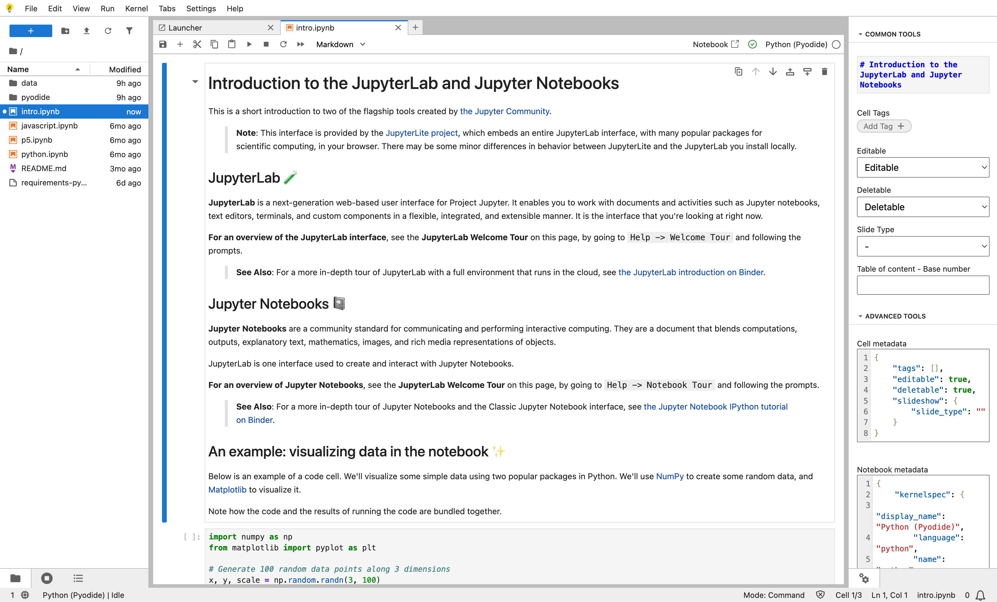 The activity bar placed at the bottom of the sidebar in JupyterLite